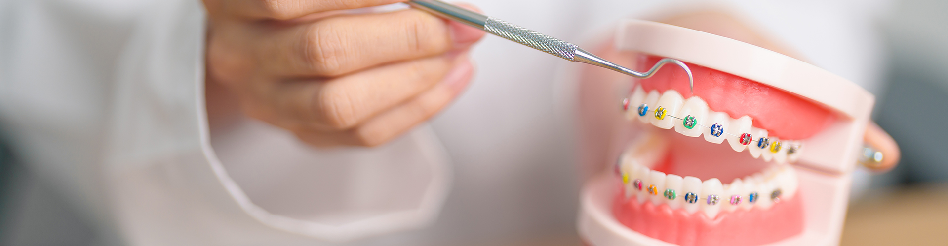 hands holding mouth model wearing colored braces